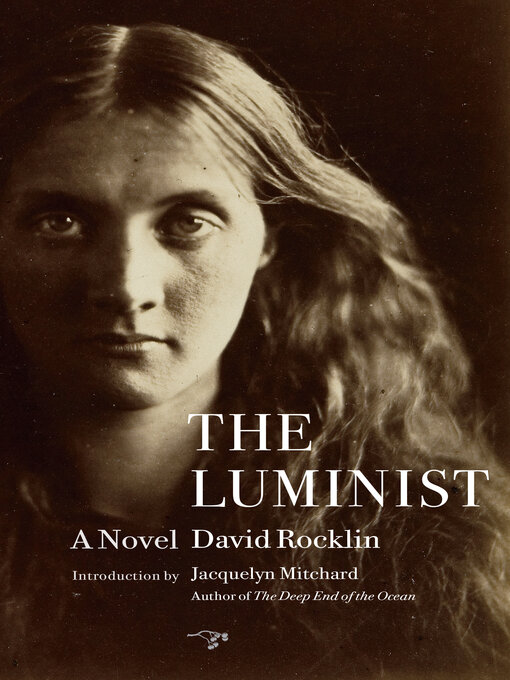 Title details for The Luminist by David Rocklin - Available